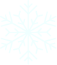 snowflake_07